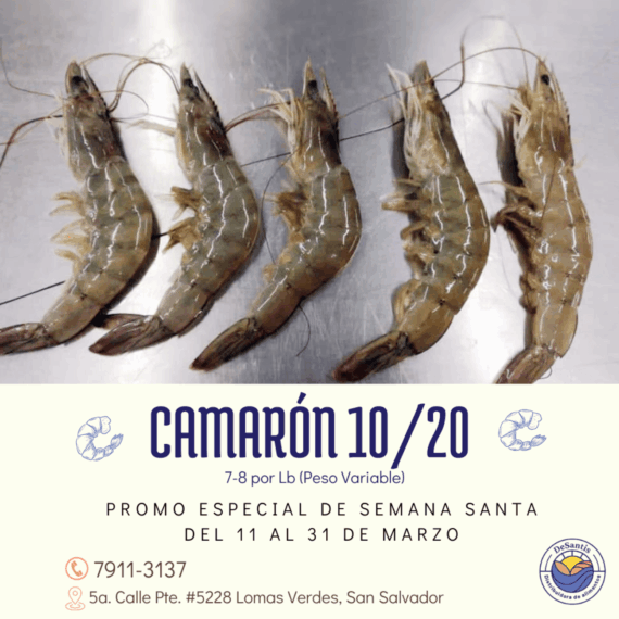 DeSantis - Camarón 10/20
