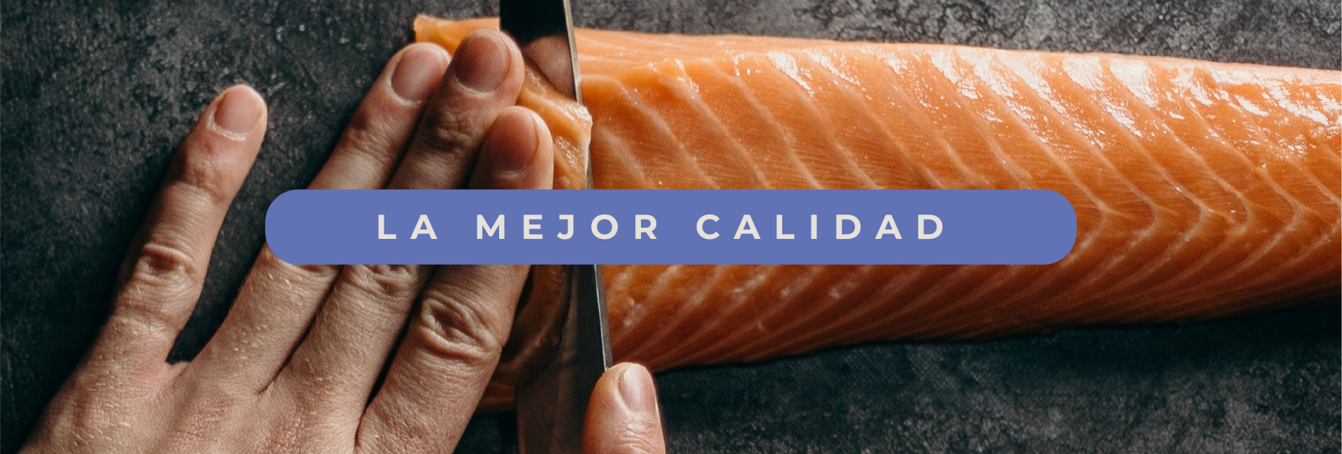 DS_Banners web_Mesa de trabajo 1 copia 2