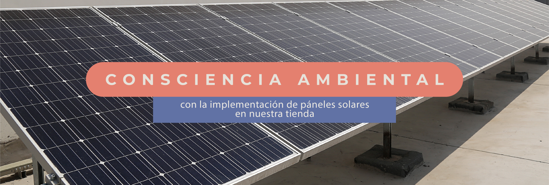 DS_Banners web_Mesa de trabajo 1 copia