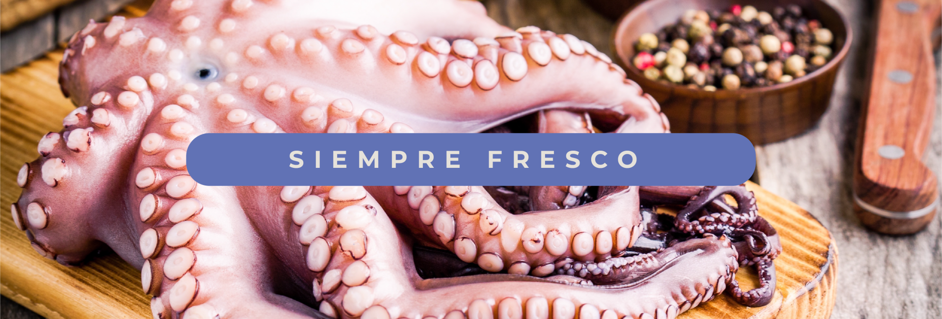 DS_Banners web_Mesa de trabajo 1